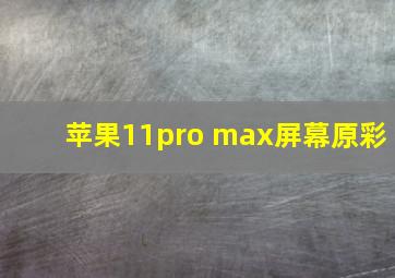 苹果11pro max屏幕原彩